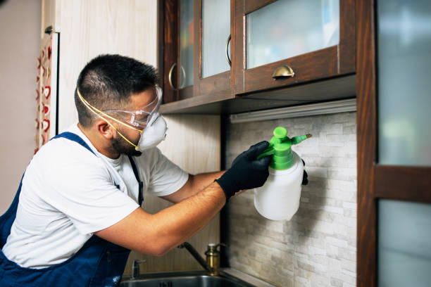 Best Rat Extermination Near Me  in Midlothian, TX