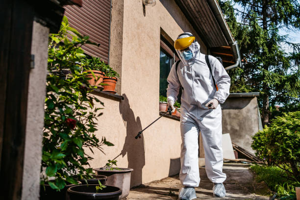Best Affordable Pest Control Services  in Midlothian, TX