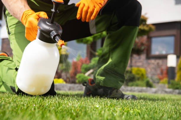 Trusted Midlothian, TX Pest Control Experts
