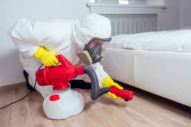 Best Pest Control Near Me in Midlothian, TX
