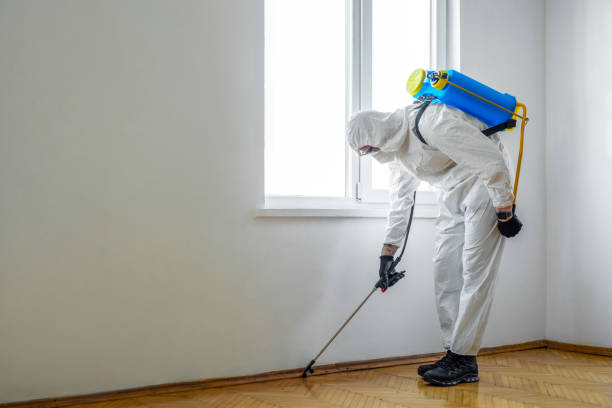 Pest Prevention Services in Midlothian, TX