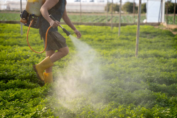 Best Best Pest Control Companies  in Midlothian, TX