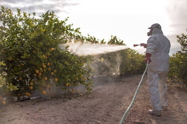 Best Commercial Pest Control Services  in Midlothian, TX