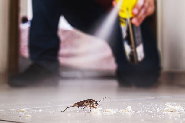 Best Mosquito Control Services  in Midlothian, TX