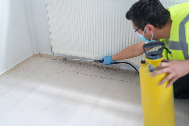 Best Cockroach Control Services  in Midlothian, TX
