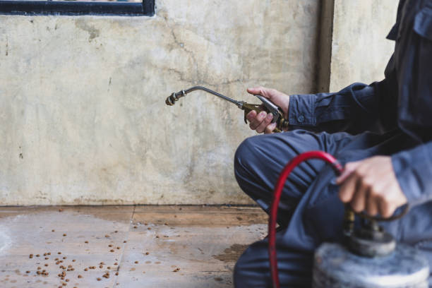 Best Pest Prevention Services  in Midlothian, TX